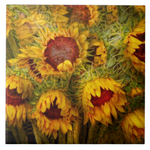 Carreau En Céramique Des fleurs - tournesols - vous êtes mon seulement