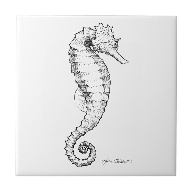 Carreau En C ramique Dessin noir et blanc d hippocampe Zazzle.ch