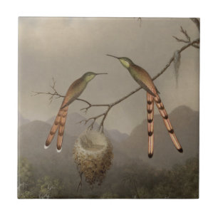 Carreau En Céramique Deux colibris avec leurs jeunes