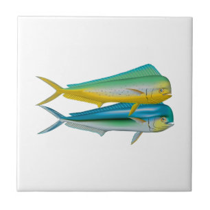 CARREAU EN CÉRAMIQUE DEUX D'ENTRE EUX