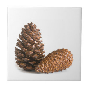 Carreau En Céramique Deux pinecones