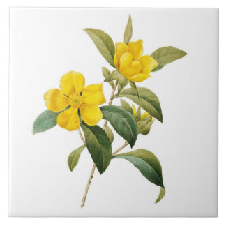 Carreau En Céramique Dillenia