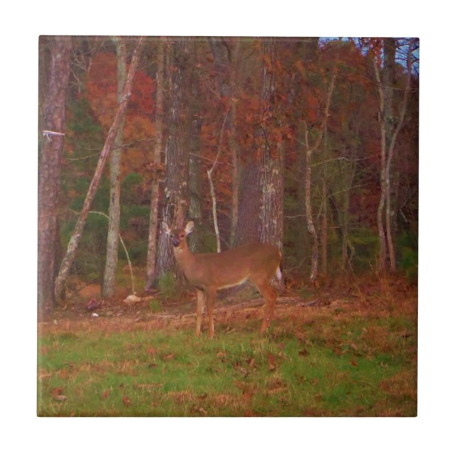 Carreau En Céramique Doe a Deer in Lake Arrowhead (Devant)