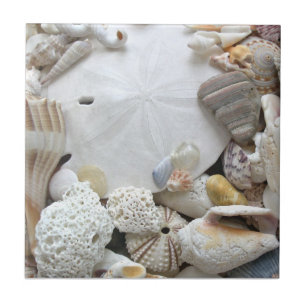 Carreau En Céramique Dollar de sable et coquillages Carrelage en cérami