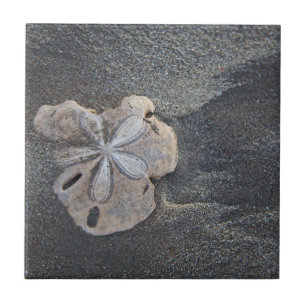 Carreau En Céramique Dollar de sable sur le sable