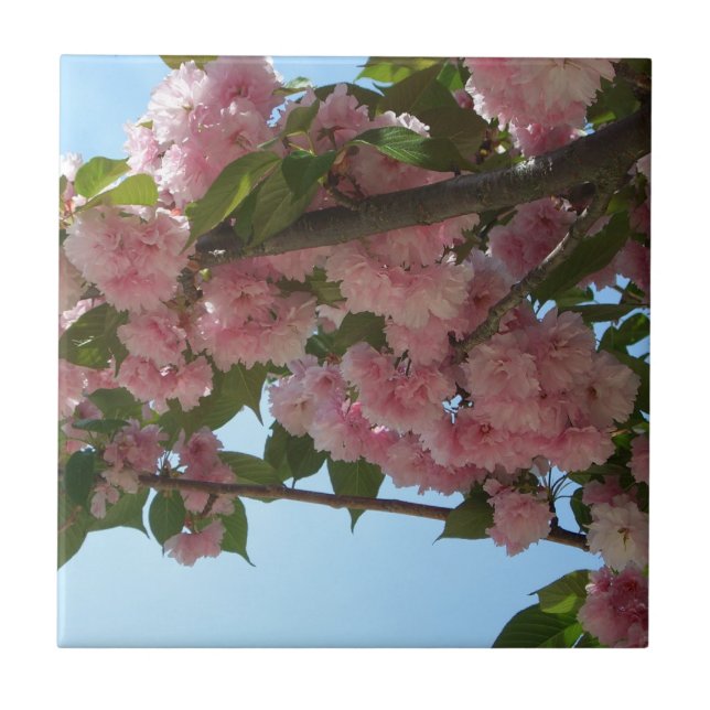 Carreau En Céramique Double Blossoming Cherry (Devant)