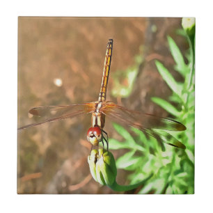 Carreau En Céramique Dragonfly Artistique Reposant Sur Une Tête De Fleu