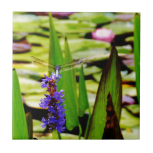 Carreau En Céramique Dragonfly lotus and purple flower