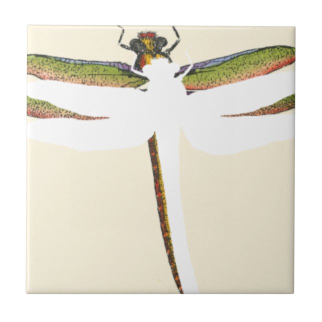Carreau En Céramique Dragonfly miniature sur Arrière - plan blanc (Devant)