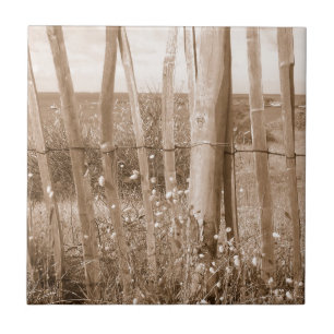 Carreau En Céramique dune