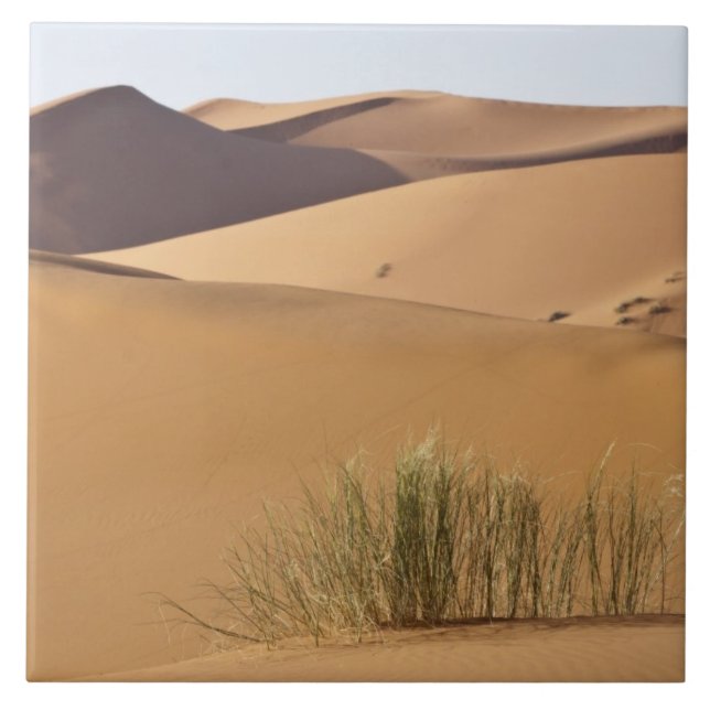 Carreau En Céramique Dunes de sable, désert du Sahara, Maroc (Devant)