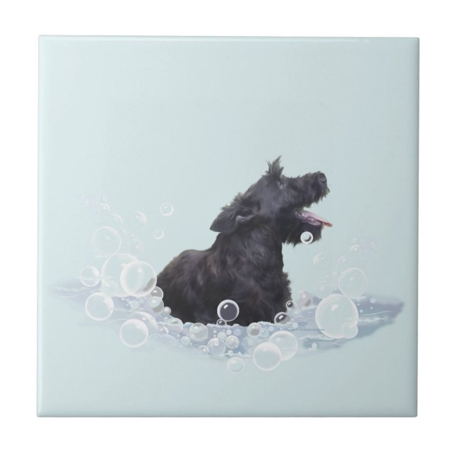 Carreau En Céramique Durée du bain (Devant)