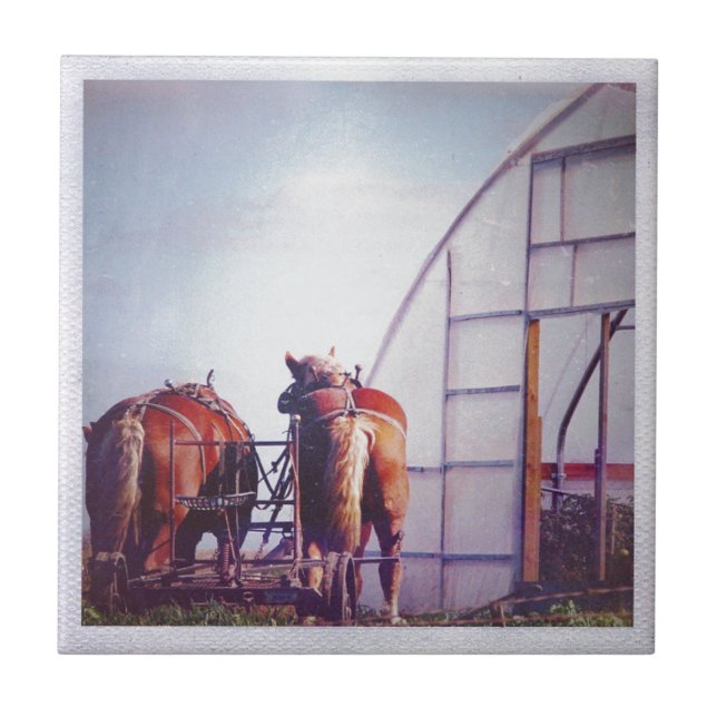 Carreau En Céramique Ébauche Chevaux Prêt Pour Le Travail (Devant)