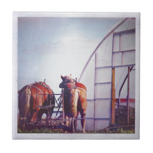 Carreau En Céramique Ébauche De Chevaux Prêts Au Travail