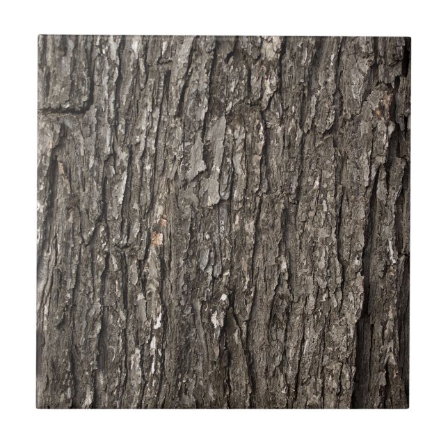 Carreau En Céramique Écorce d'arbre épaisse (Devant)
