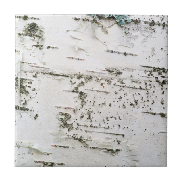 Carreau En Céramique Écorce de bouleau (Devant)