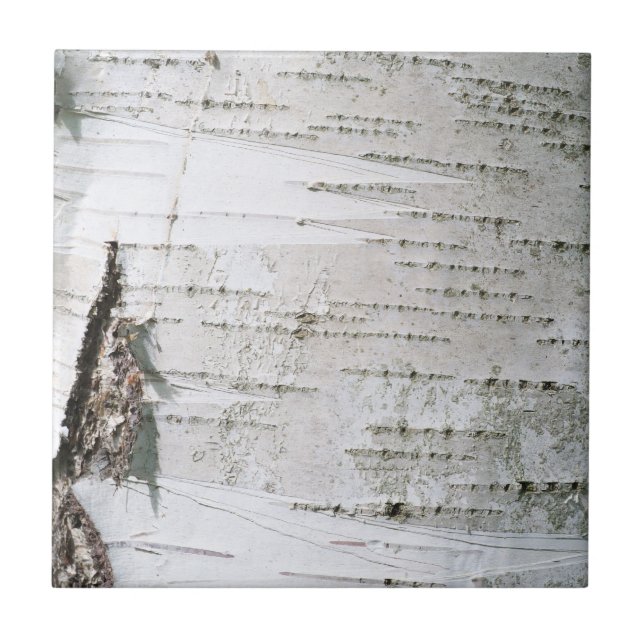 Carreau En Céramique Écorce de bouleau (Devant)