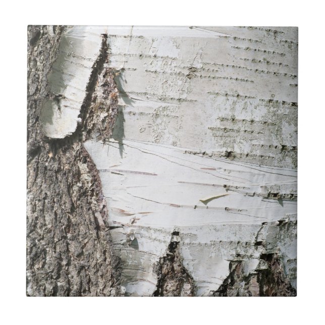 Carreau En Céramique Écorce de bouleau (Devant)