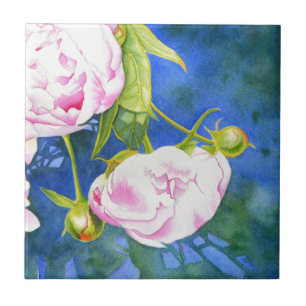 Carreau En Céramique Elégant rose blanc classique aquarelle floral