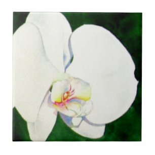 Carreau En Céramique Elégante peinture d'orchidée tropicale blanche