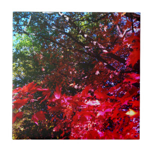 Carreau En Céramique Élégants arbres d'automne feuilles roses rouges