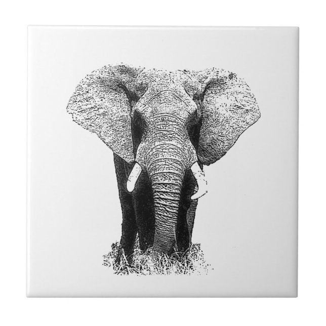 Carreau En Céramique Eléphant noir et blanc (Devant)