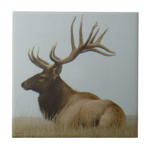 Carreau En Céramique Énorme taureau E5 Wapiti