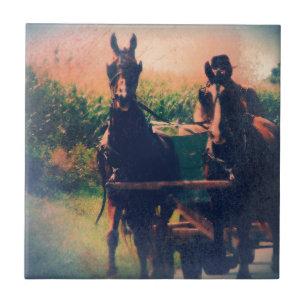 Carreau En Céramique Équipe d'Amish Horse