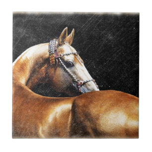 Carreau En Céramique Étalon d'Akhal-teke de palomino