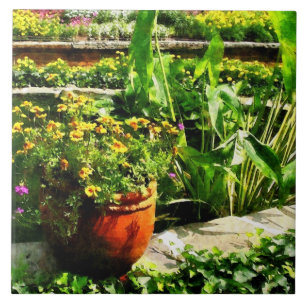 Carreau En Céramique Étang de jardin