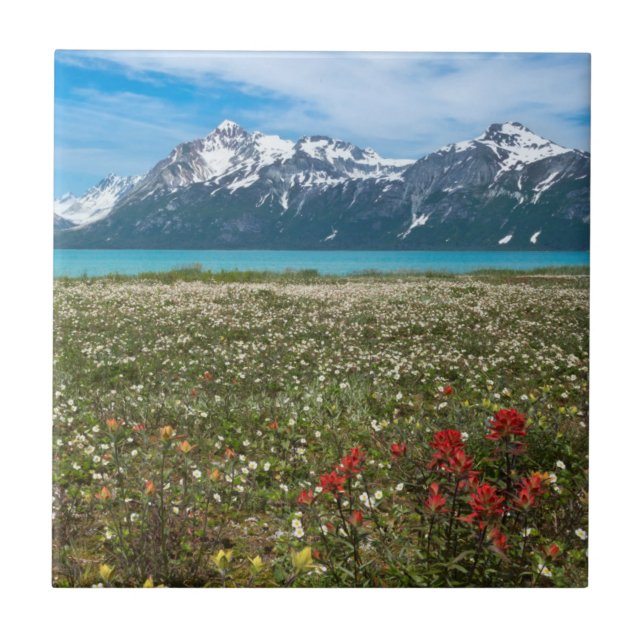 Carreau En Céramique États-Unis, Alaska, Glacier Bay National Park 2 (Devant)