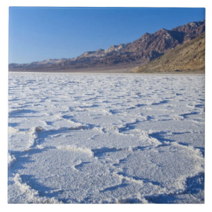 Carreau En Céramique États-Unis, CA, Parc national de la vallée de la M