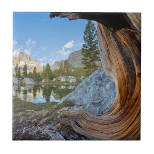 Carreau En Céramique États-Unis, Californie, forêt nationale d'Inyo. 
