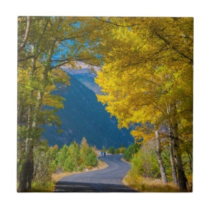 Carreau En Céramique États-Unis, Colorado. Route flanquée de trembles