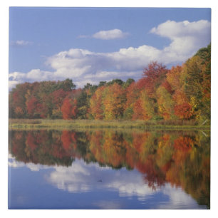 Carreau En Céramique États-Unis, Massachusetts, Acton. Reflet de l'auto