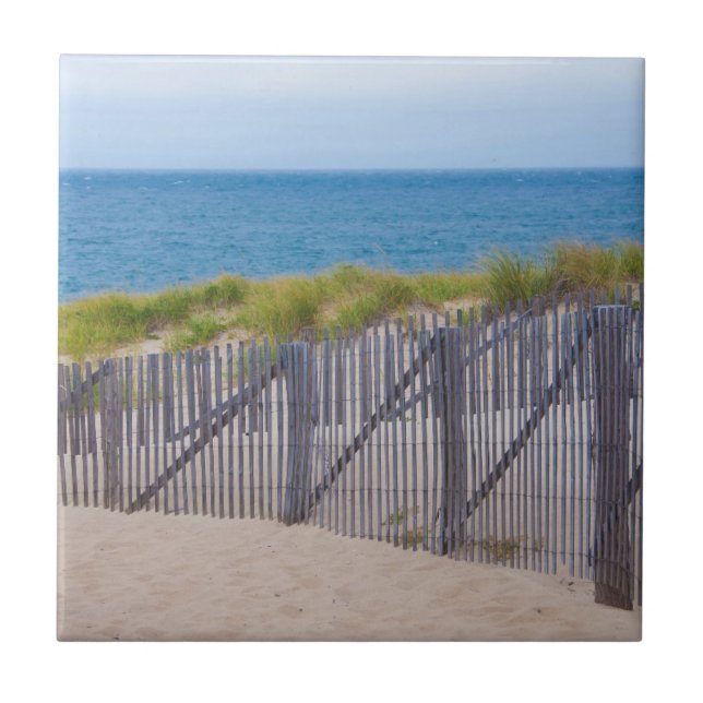 Carreau En Céramique États-Unis, Massachusetts. Dunes Et Chemin (Devant)