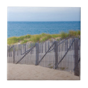 Carreau En Céramique États-Unis, Massachusetts. Dunes et sentier