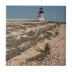 Carreau En Céramique États-Unis, Massachusetts, Nantucket. Coquillage