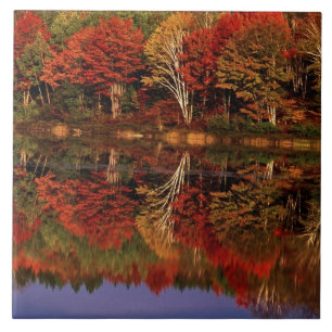 Carreau En Céramique États-Unis, Michigan, Upper Peninsula. Automne
