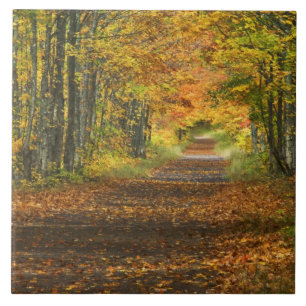 Carreau En Céramique États-Unis, Michigan, Upper Peninsula. Route vers