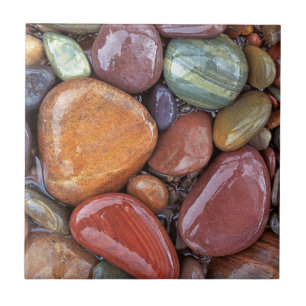 Carreau En Céramique États-Unis, Montana, Clark Fork River, Stones 2