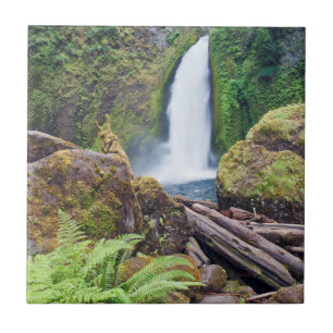 Carreau En Céramique États-Unis, Oregon, Columbia River Gorge, Wahclell
