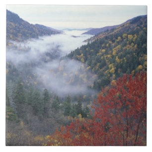 Carreau En Céramique États-Unis, Tennessee, Great Smokey Mountains Nat