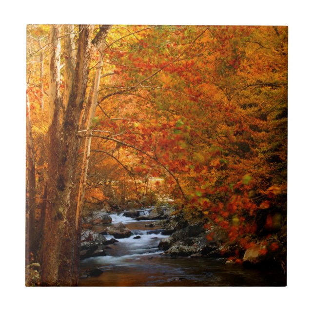 Carreau En Céramique États-Unis, Tennessee. Ruisseau Rushing Mountain 2 (Devant)