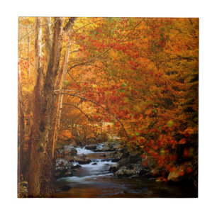 Carreau En Céramique États-Unis, Tennessee. Rushing Mountain Creek 2