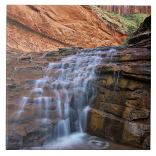 Carreau En Céramique États-Unis, Utah, Escalante Wilderness. Cascade da