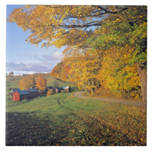 Carreau En Céramique États-Unis, Vermont, ferme de Jenne. L'automne arr