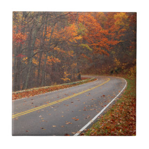 Carreau En Céramique États-Unis, Virginie, Shenandoah National Park, Sk