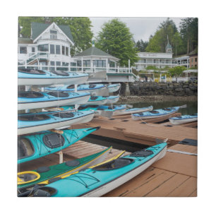 Carreau En Céramique États-Unis, Washington, Îles San Juan