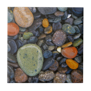 Carreau En Céramique États-Unis, Washington, Lopez Island, Agate Beach